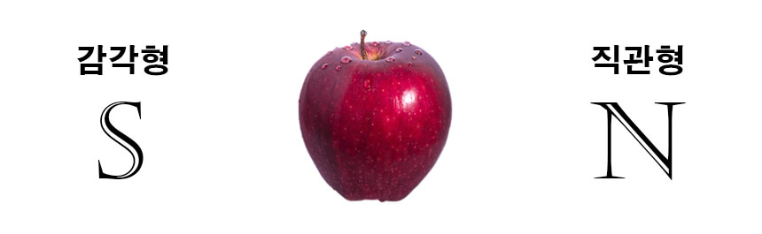 MBTI SN 차이점 샘플