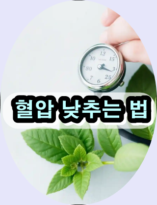 혈압 낮추는 법, 고혈압에 좋은 음식, 혈압 낮추는 차, 자연스럽게 혈압 낮추는 방법, 고혈압 자연치유법, 고혈압에 좋은 영양제, 혈관 건강 개선 방법, 고혈압 초기증상, 혈압 조절에 좋은 약초, 고혈압 낮추는 생활습관