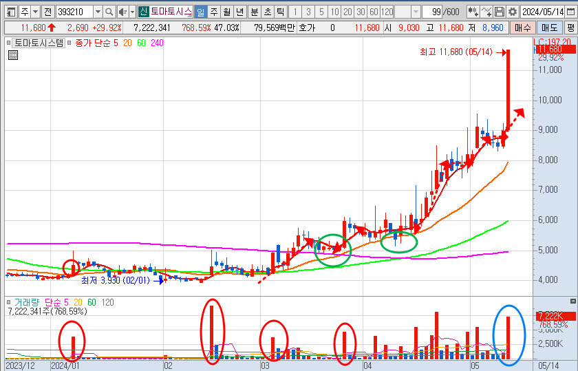 토마토시스템 주가 일봉 차트 분석