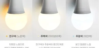 주광색 주백색 차이 비교 차이점_16