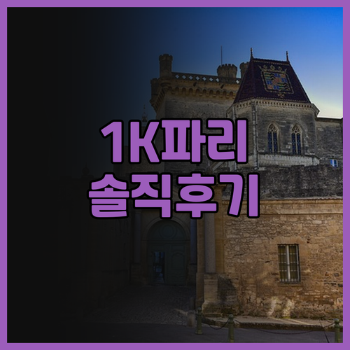 1K 파리 호텔 후기: 특별한 파리 ..