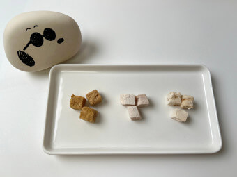 국제 강아지의 날(International Dog Day) 간식 BEST 7 추천!