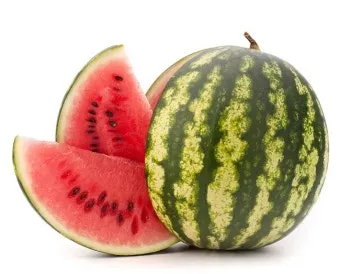 수박껍질 음식물쓰레기 헷갈리는 분들을 위한 정확한 정리_3