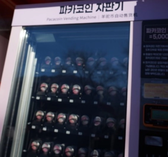 피카코인
