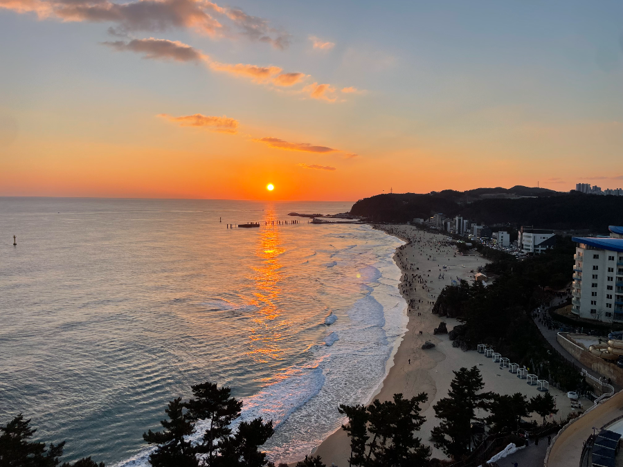 솔비치 삼척 일출 체험