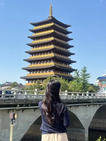 경주 가볼만한곳 베스트 10 역사 여행과 문화유산 탐방_12