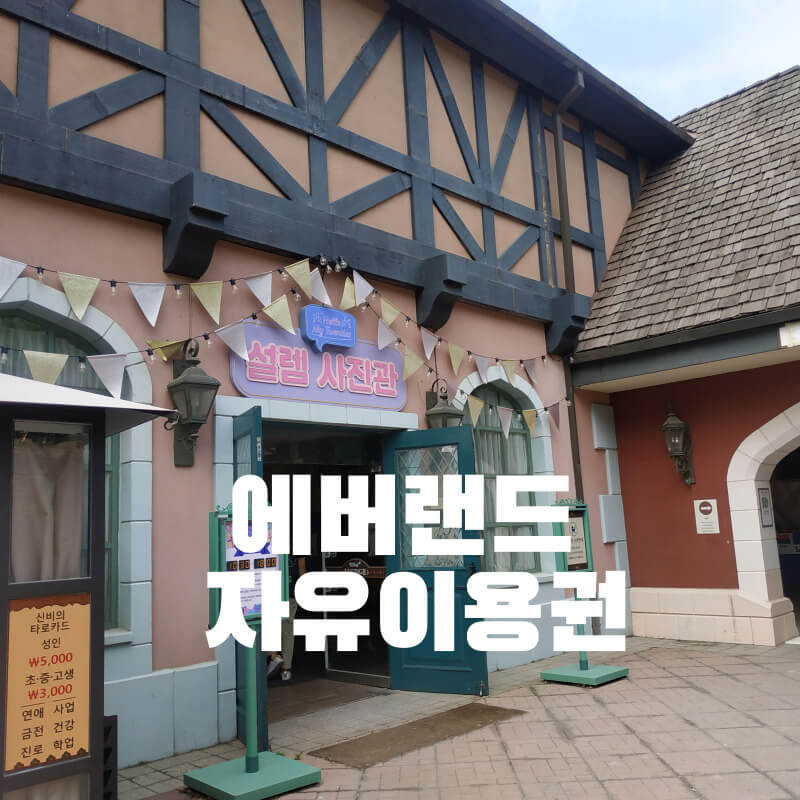 에버랜드 자유이용권