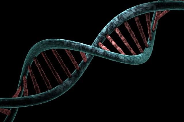 DNA 프로그래밍을 활용한 세포 간 신호 전달 조작 기술