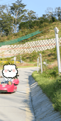 강화 루지, 케이블카 요금