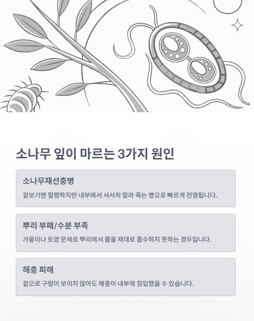 소나무 잎이 마르는 3가지 원인