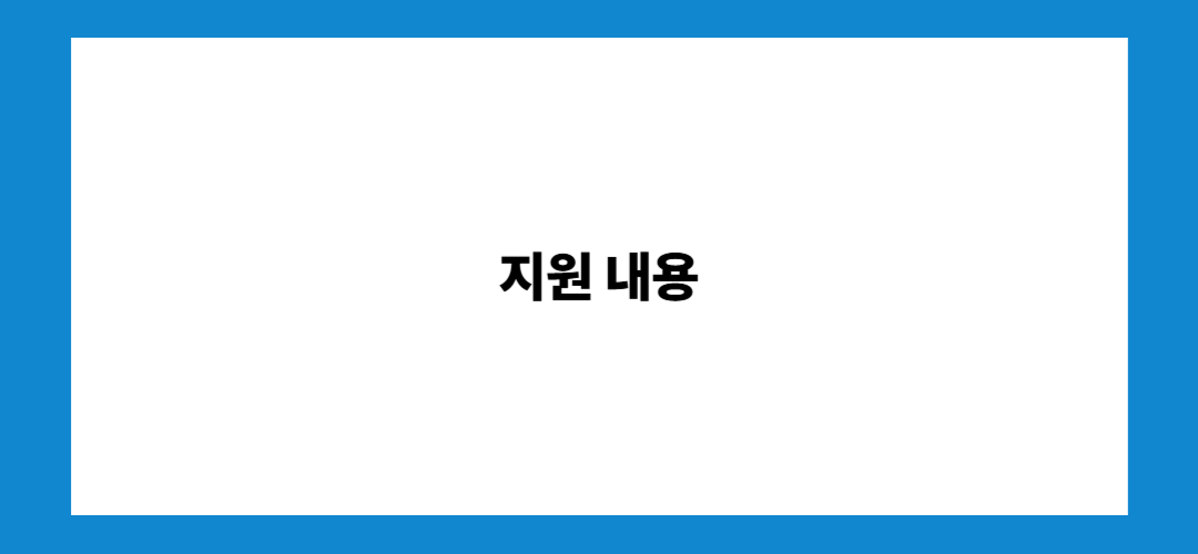 지원 내용