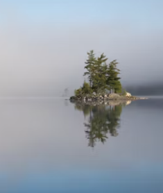 개별공시지가 조회 토지 부동산 건물 개별공시지가 조회