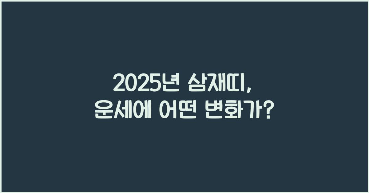 2025년 삼재띠