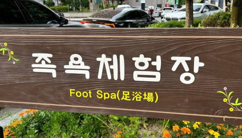 대전 가볼만한곳 베스트10