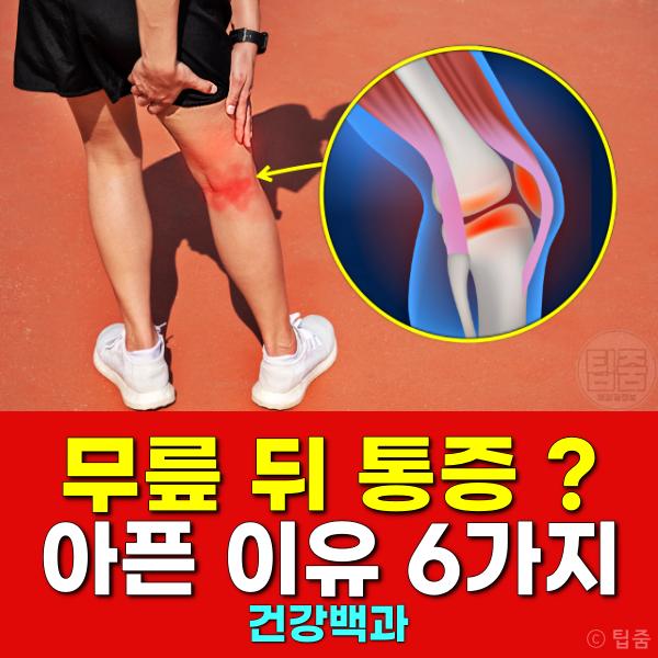 무릎 뒤 통증 원인 정형외과