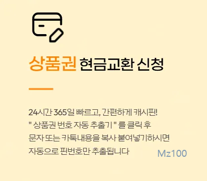 캐시핀 살펴보기 1
