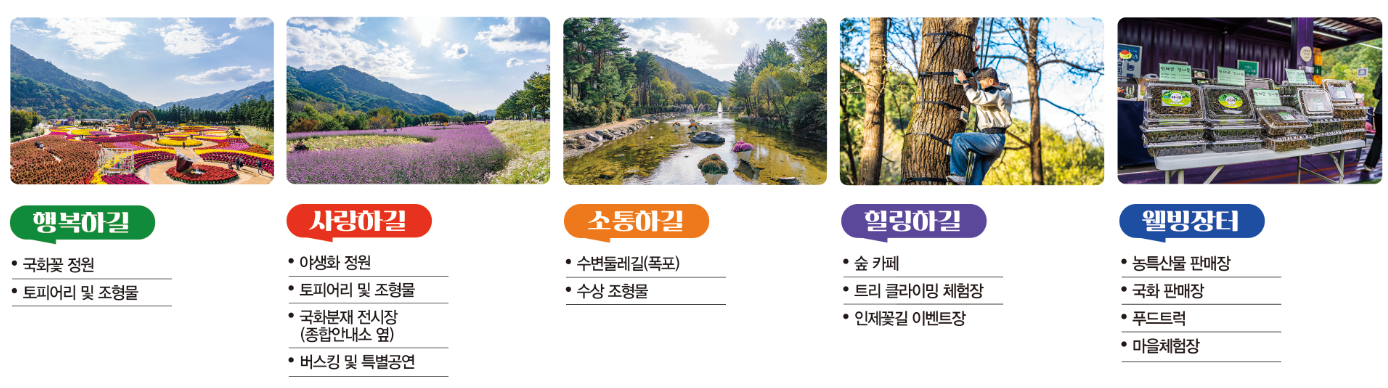 행사구역별 프로그램
