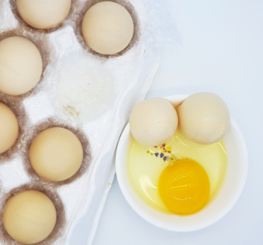 백봉농장 오골계 초란 유정란