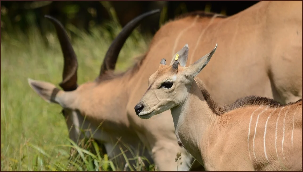 적금 이율 높은 은행