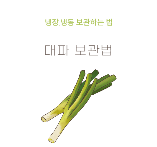 대파-보관법-냉장,냉동-보관법