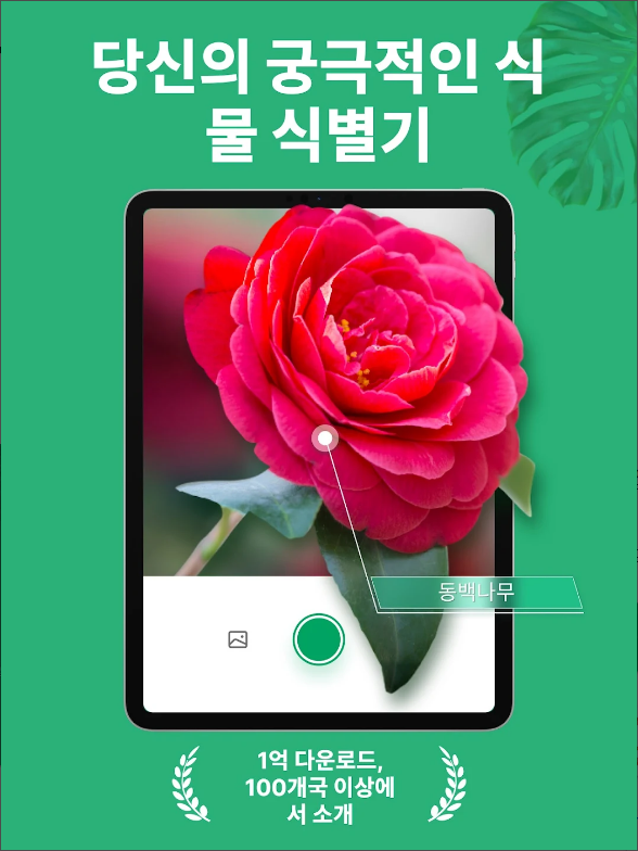 꽃 이름 찾기 어플, 사진 이미지로 꽃 찾고 검색하기