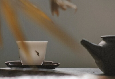 8체질 자가진단 테스트