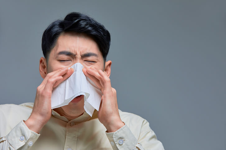 퀘르세틴 양파껍질 효능