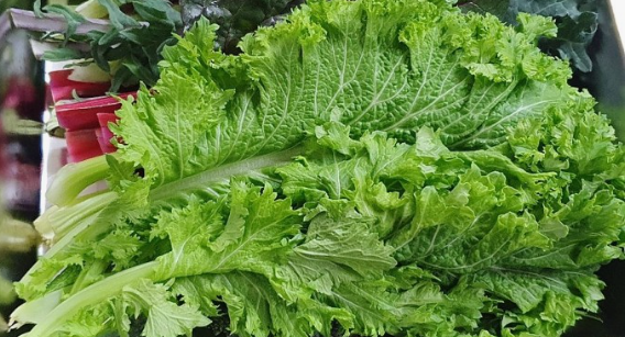 주요 비타민의 종류와 각각의 효능(역할)과 부족시 현상 그리고 부작용