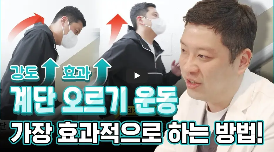 계단오르기 운동효과 영상