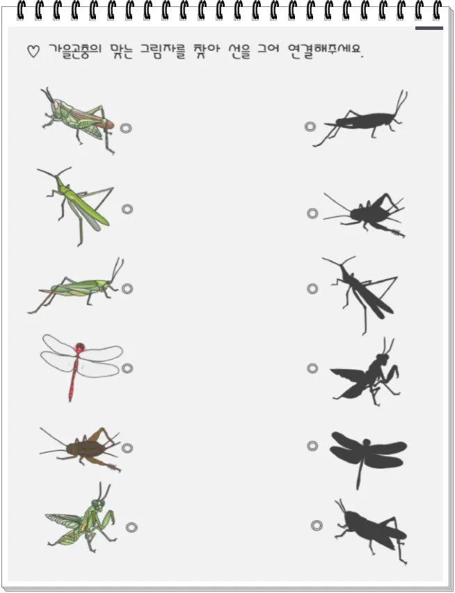 곤충 종류와 특징 생김새 습성 먹이 요약 정리_8