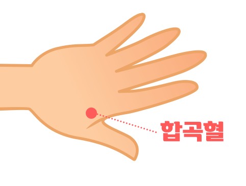 소화불량의 원인과 소화불량에 도움이 되는 혈자리 지압법