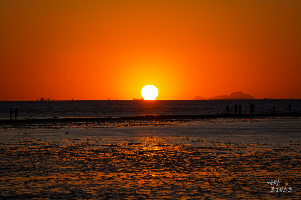 안산 탄도항 오메가 태양