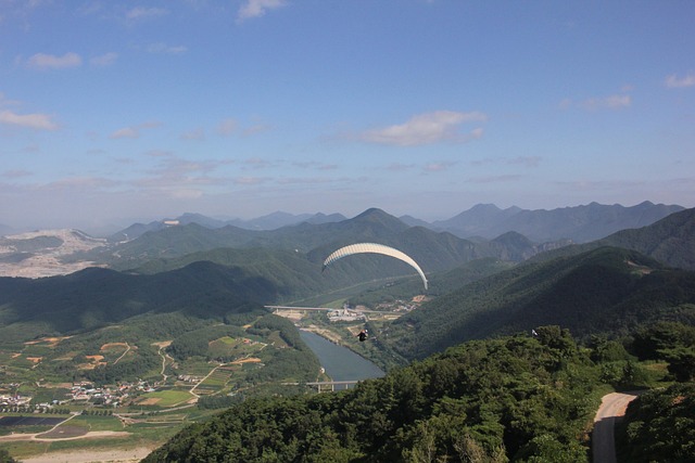 단양 디지털관광주민증