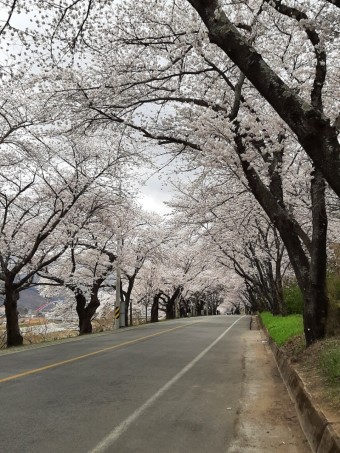 하동 쌍계사