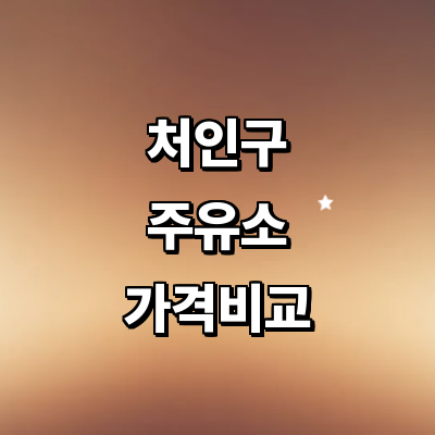 용인 처인구 주유소
