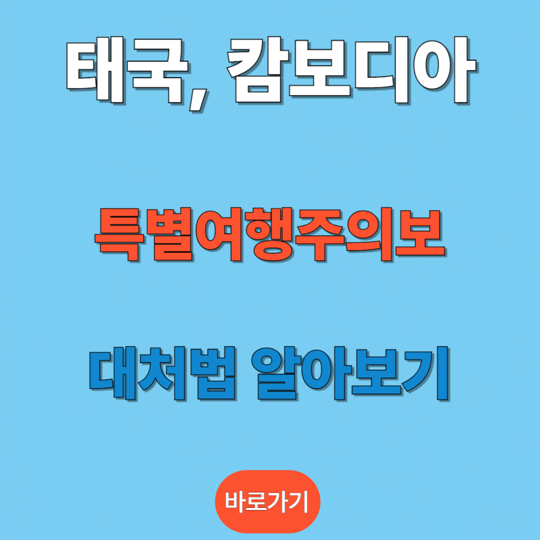 해외안전여행 사이트에서 확인하러 가기