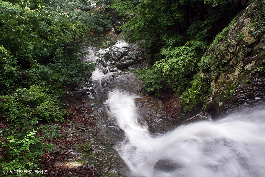 홍룡폭포
