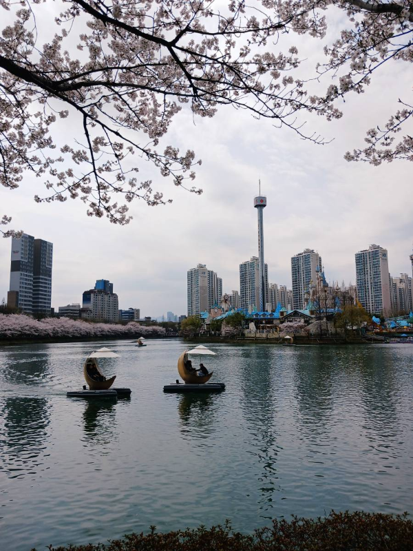 석촌호수 위 배들