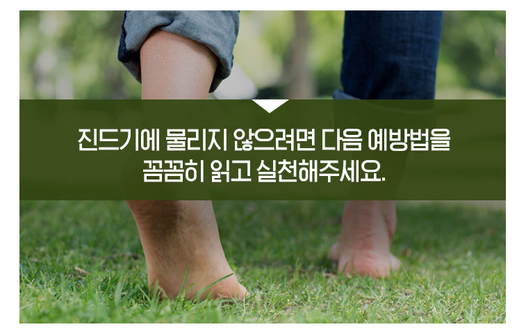 진드기 물린자국