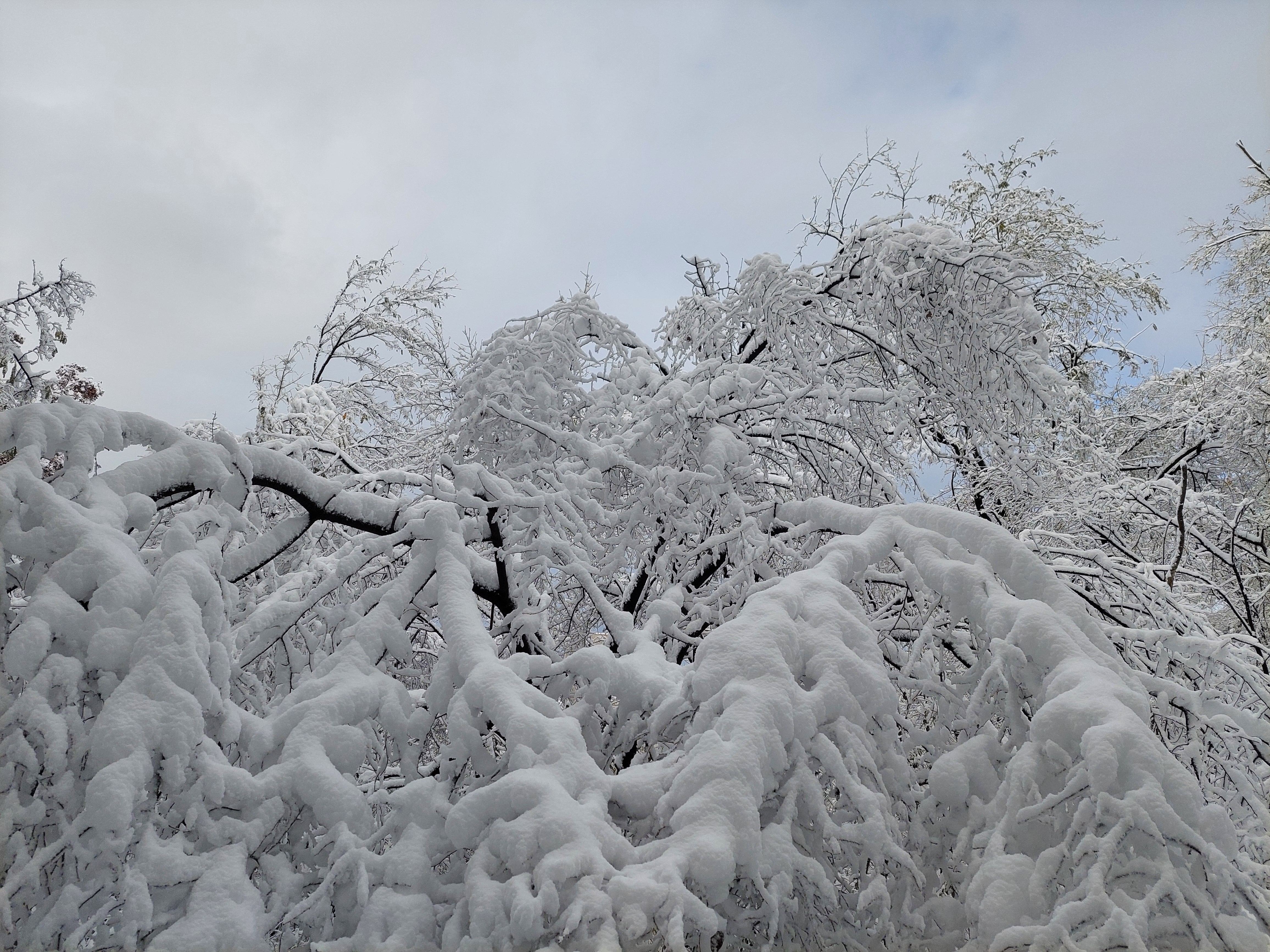 백련산안산