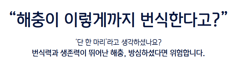 오래된 아파트 바퀴벌레 퇴치방법