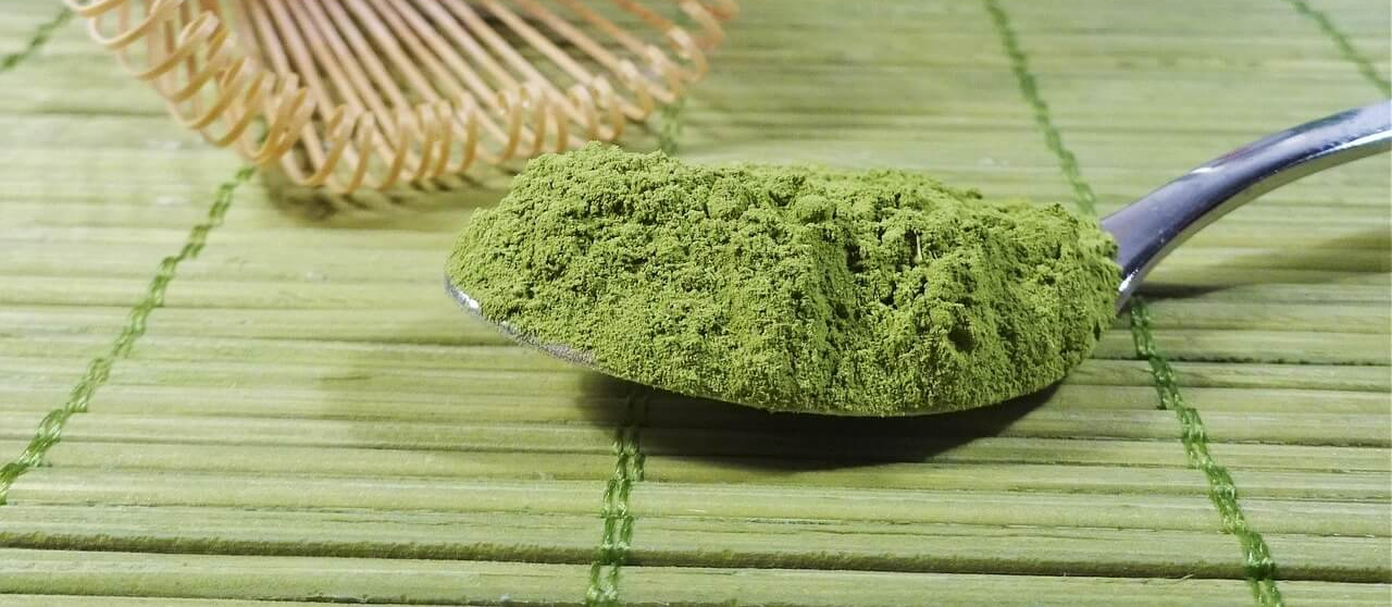 녹차추출물 항산화력 분석