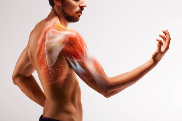 타트체리 효능 부작용 알아보기