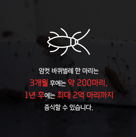 세스코 가정집 비용 아파트,원룸,투룸 가격 (셀프진단)