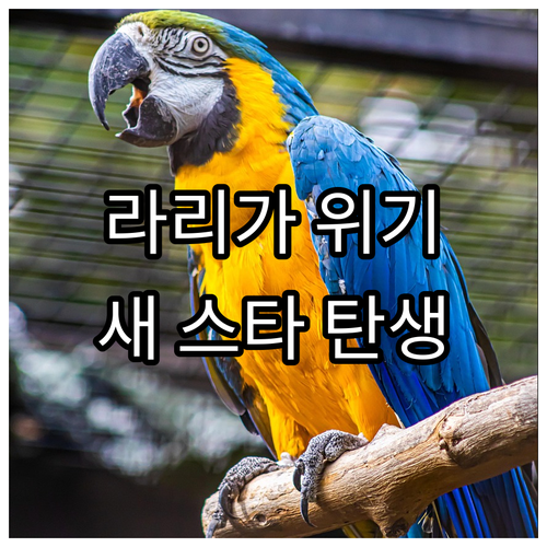 라리가 2024: 명문 클럽 위기와