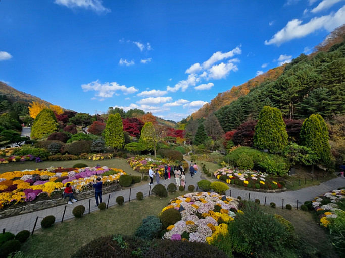 아침고요수목원