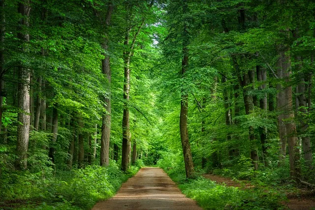 걷기좋은 숲길 50 서울 전남 경북_6