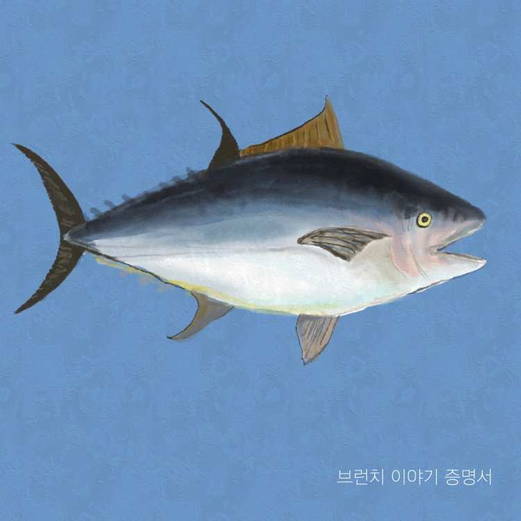 참치