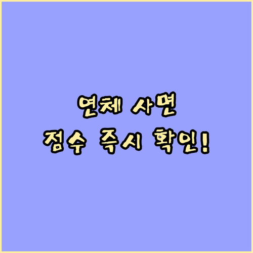 정부 소액 연체 신용사면 대상 확인:..