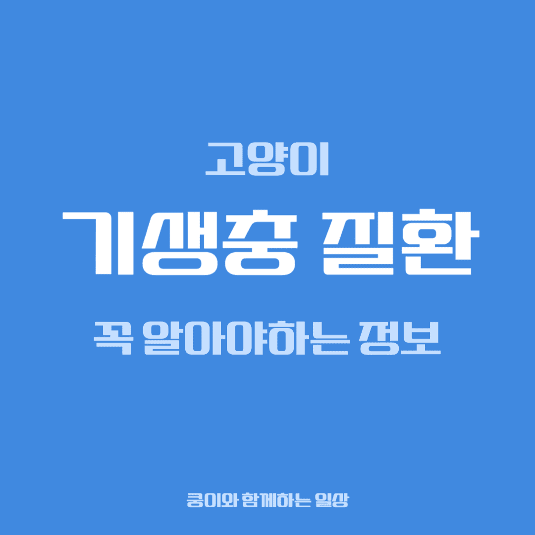 고양이 기생충 질환, 집사가 꼭 알아야 할 정보